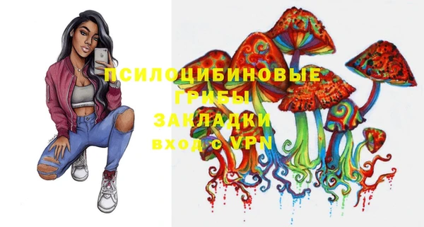 крисы Армянск